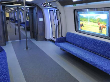 参加世界各地展览